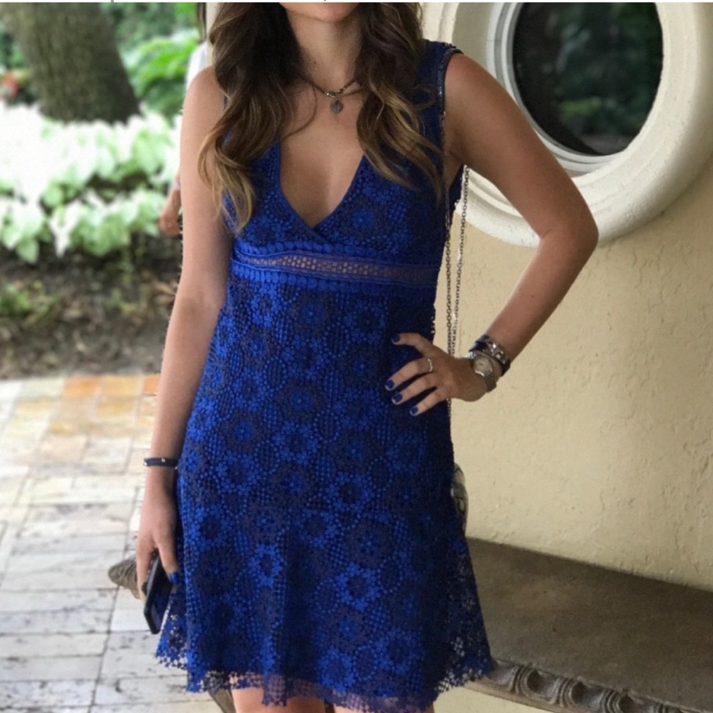 Sandro Dress Blue Floral